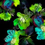Colour:F