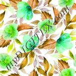 Colour:B