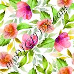 Colour:C