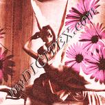 Colour:J