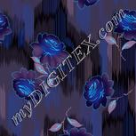 Colour:F