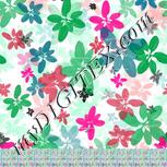 Colour:B
