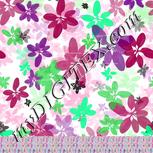 Colour:C