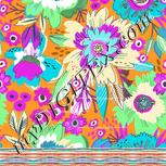 Colour:B
