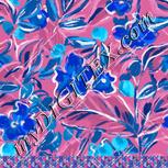 Colour:F