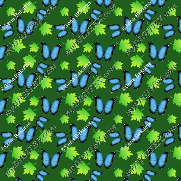 butterfly pattern