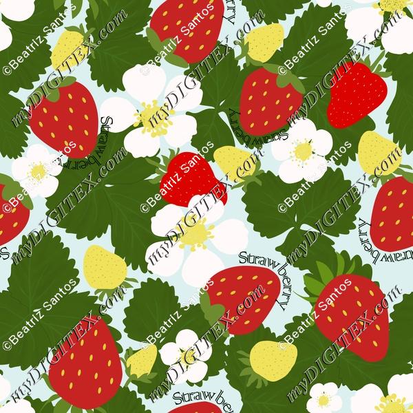 SB161714  Strawberry