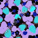 Colour:F