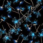 Colour:F