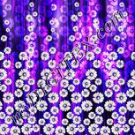 Colour:D