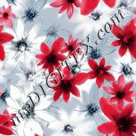Colour:A