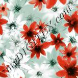 Colour:B
