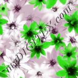 Colour:C