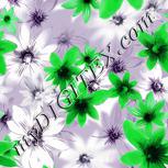 Colour:D
