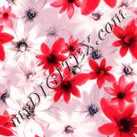 Colour:J