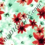 Colour:K