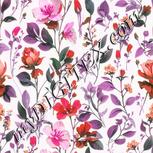 Colour:B