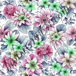 Colour:C