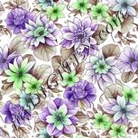 Colour:D