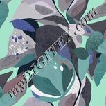 Colour:F