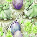 Colour:D