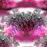 Colour:B