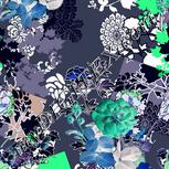 Colour:F