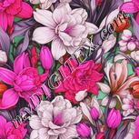 Colour:B