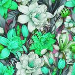 Colour:C