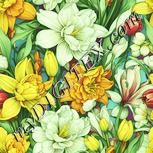 Colour:K