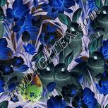 Colour:F