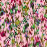 Colour:B