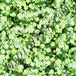 Colour:K