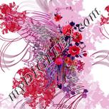 Colour:B