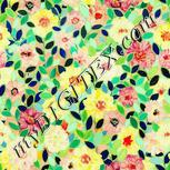 Colour:K