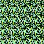 Colour:K
