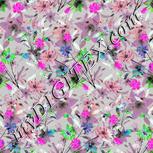 Colour:B