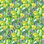 Colour:K