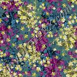 Colour:A