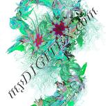 Colour:C