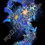 Colour:F