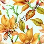Colour:K