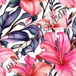 Colour:B