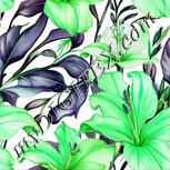 Colour:C