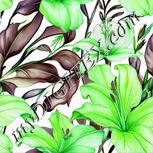 Colour:D