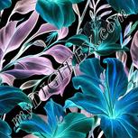 Colour:F