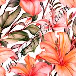 Colour:J
