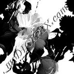 Colour:C