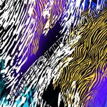 Colour:F