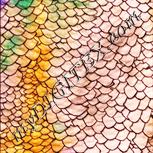 Colour:J